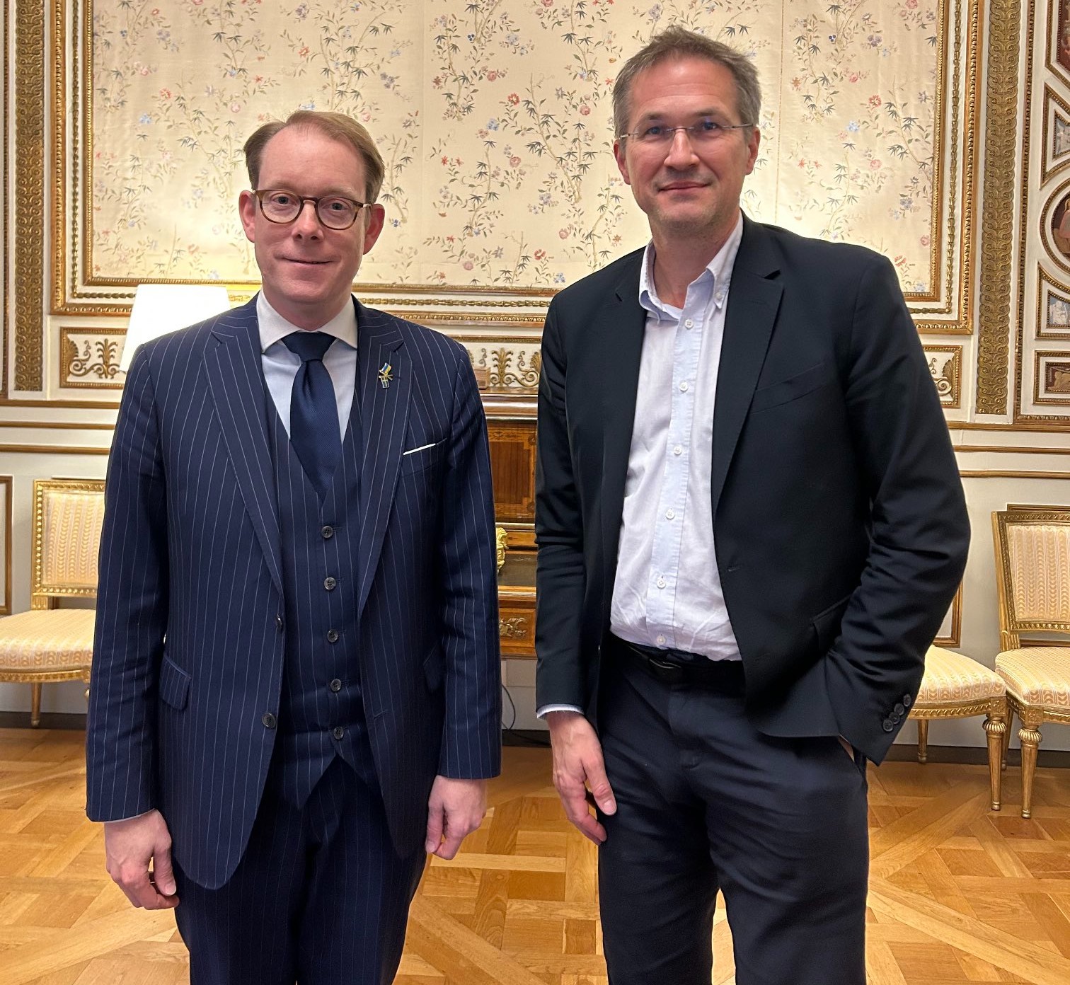 Swedish Foreign Minister Tobias Billström and Gerald Knaus